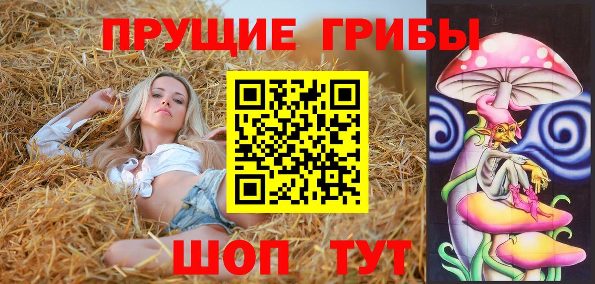 Псилоцибиновые грибы прущие грибы Нижний Тагил