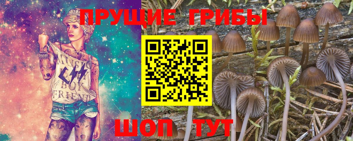 Нижний Тагил  Псилоцибиновые грибы ЛСД  наркотики  Вход с VPN 